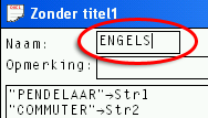 Screenshot van het vak [Naam]